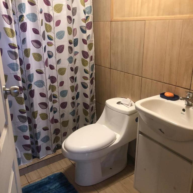 Turismo Los Carbooneros de Pugueñun - Habitación Doble con baño privado - 6