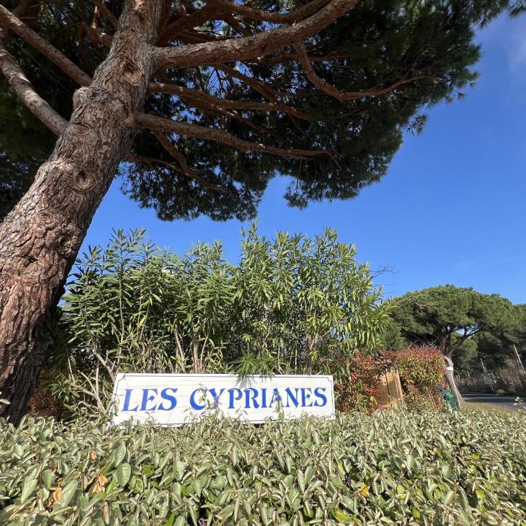 Sol-y-Days Cyprianes pour 4 personnes, résidence avec piscine - Apartment mit Terrasse - 18