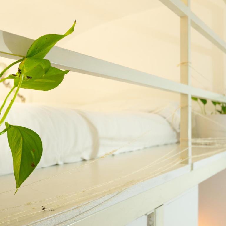 Cozy Suite Saint John - Appartamento con 1 Camera da Letto - 20