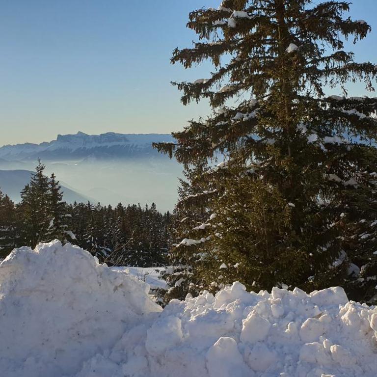 Appartement 8 personnes 3 chambres 1 750 m altitude - Appartement 3 Chambres - 3