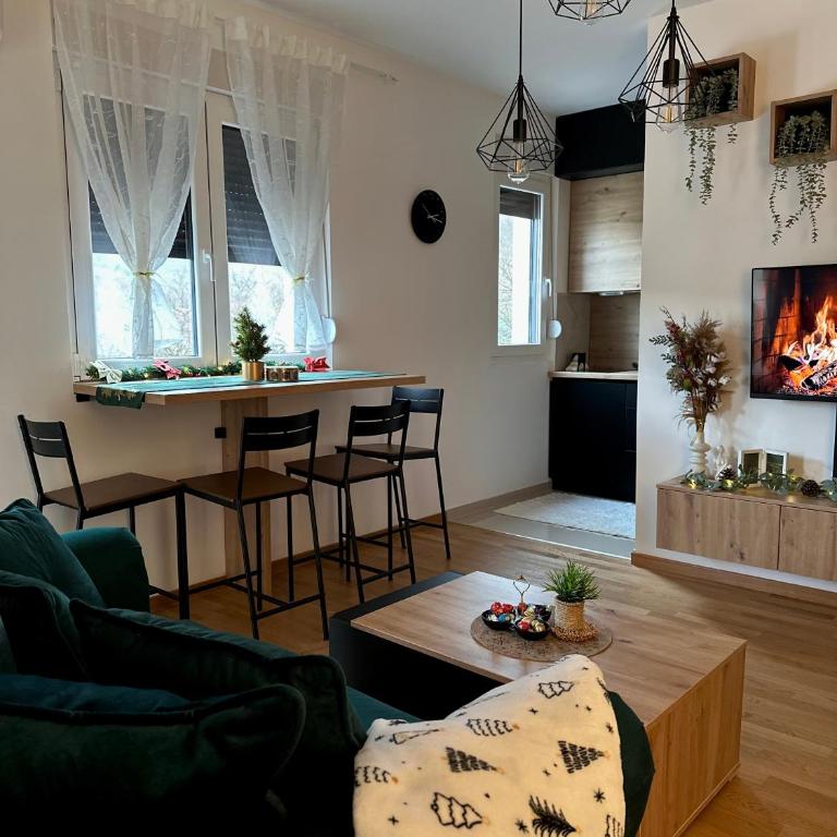 Aria Apartman Sokobanja - One-Bedroom Apartment - 6
