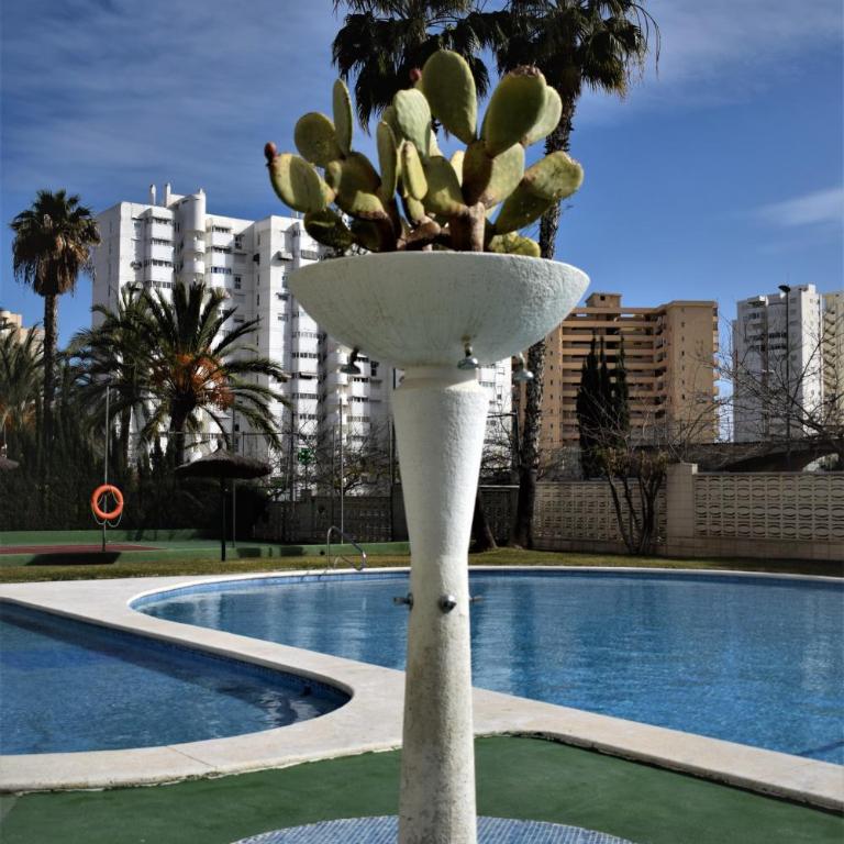 Apartamento Faro Blanco - Apartment - 13