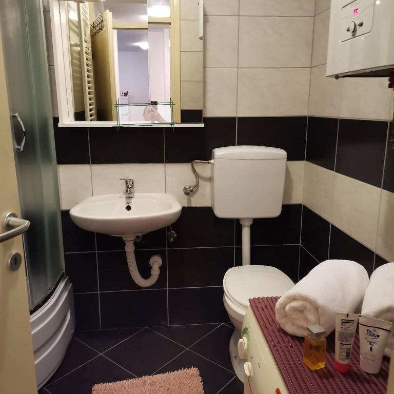 Apartman Anja - Apartman sa 1 Spavaćom Sobom - 8