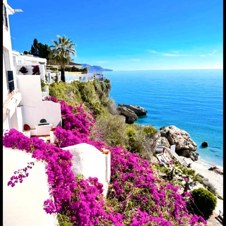 Hibiscus 69 - San Juan de Capistrano - Casa de 2 dormitorios - 23