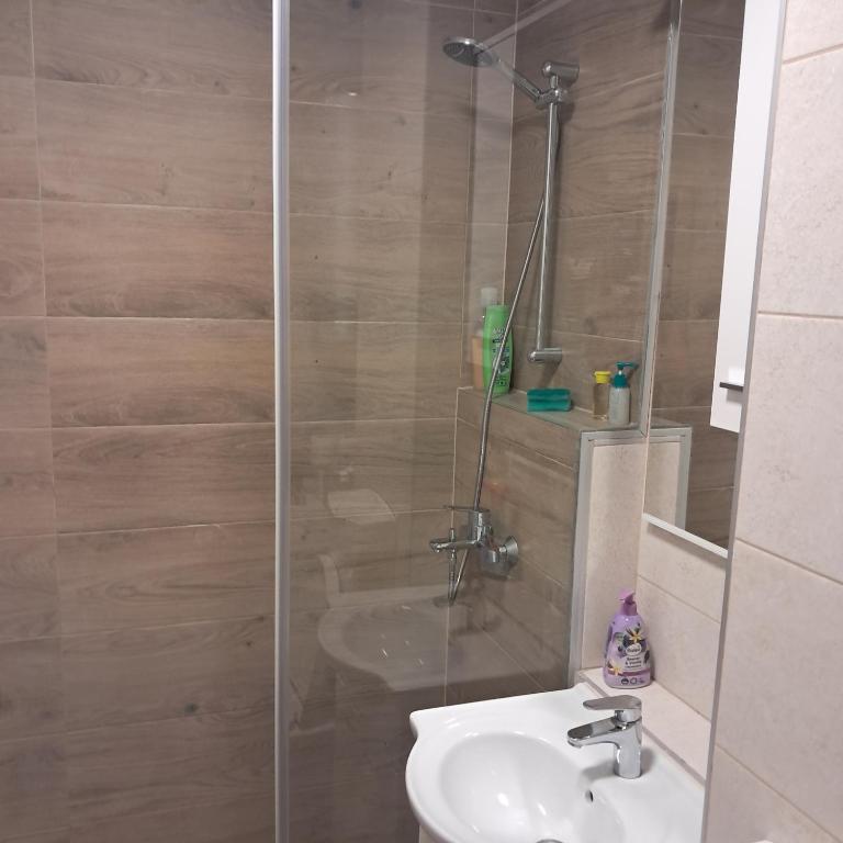 Novi - Apartman sa 1 Spavaćom Sobom - 16
