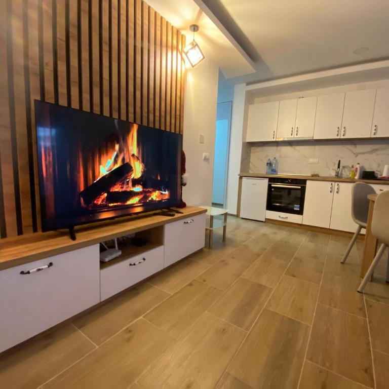 Apartman Emilija - Apartman sa 1 Spavaćom Sobom - 5