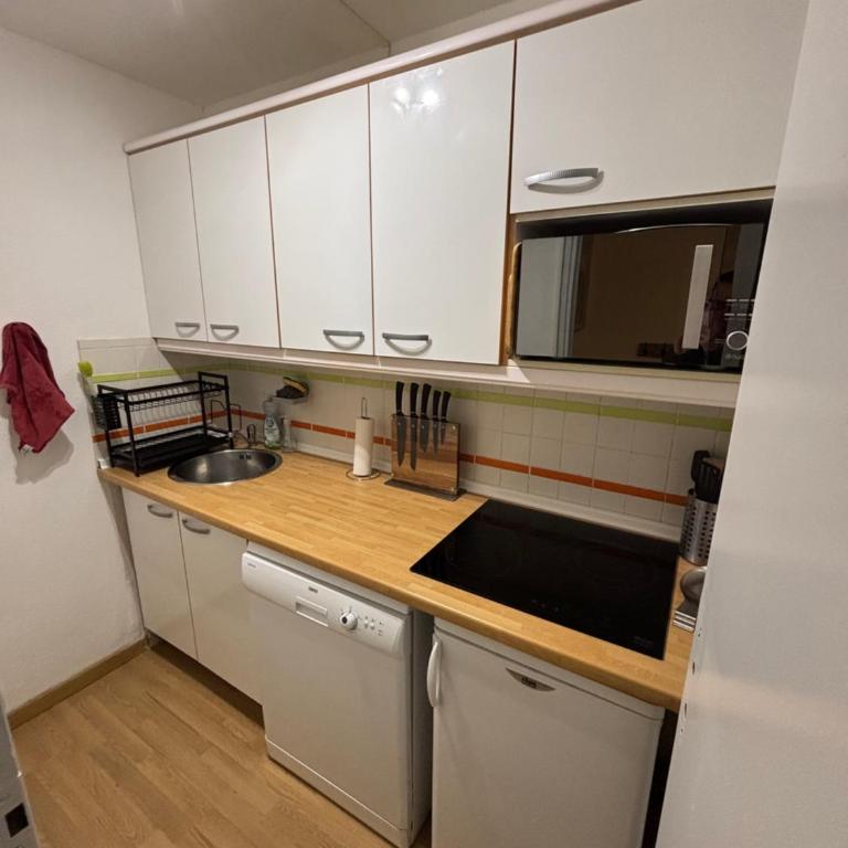 Appartement La Mongie au pied des pistes T2 46 m2 parking et wifi - Appartement 2 Chambres - 13