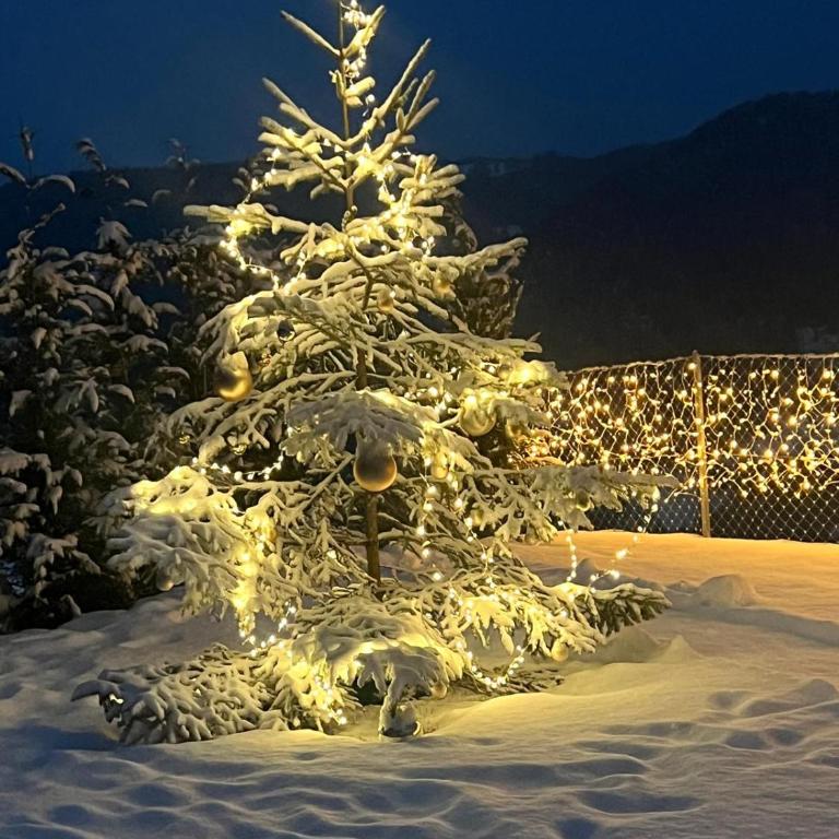 Chalet Tschattlhof Dolomites - Chalet Superior - 28