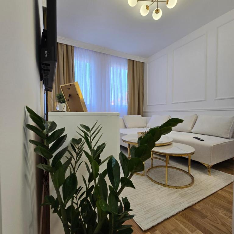 Apartman Gazivoda - One-Bedroom Apartment - 8