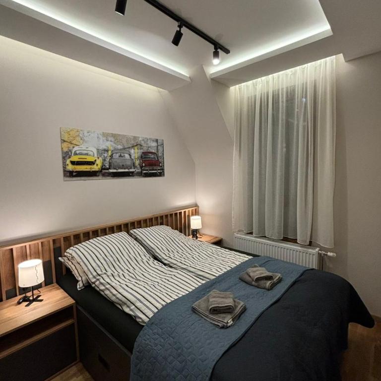 Šumska staza Divčibare apartmani - Apartman sa 1 Spavaćom Sobom - 10