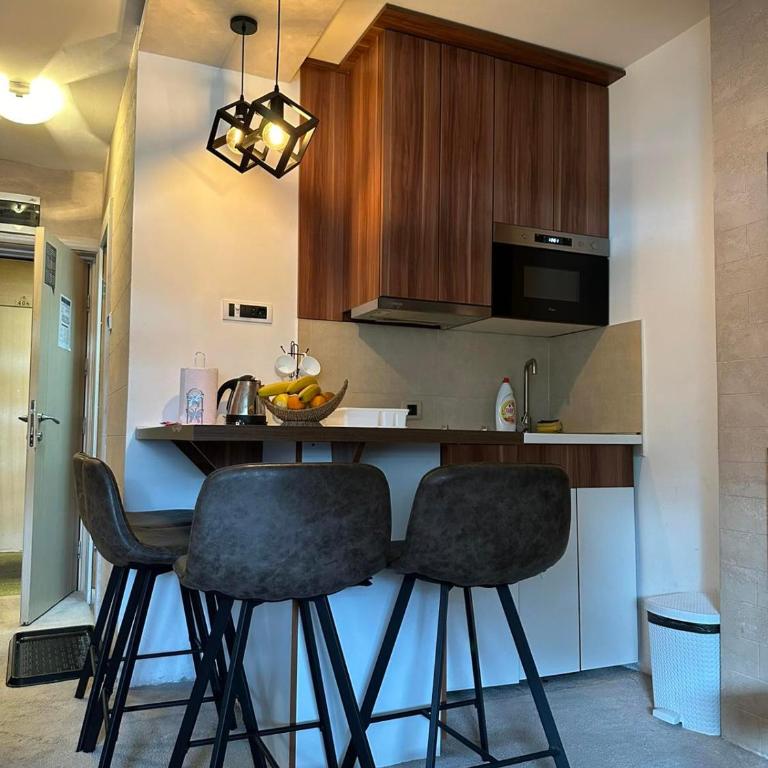 Apartmani Iva Kop Konaci - Apartman sa 1 Spavaćom Sobom - 7