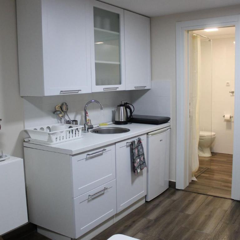 Ogi apartments Balkanska - Apartman sa 1 Spavaćom Sobom - 5