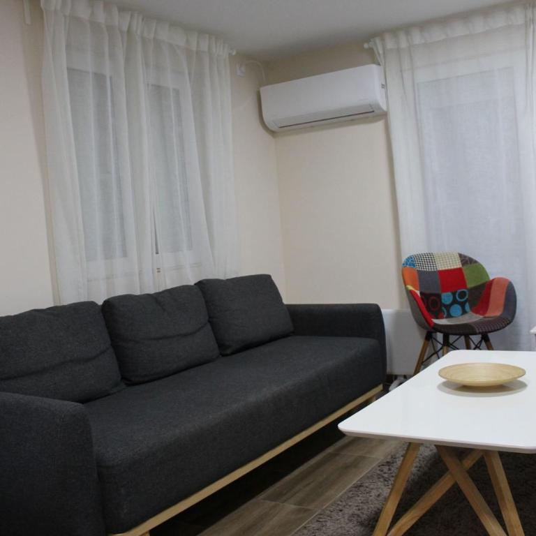 Ogi apartments Balkanska - Apartman sa 1 Spavaćom Sobom - 13