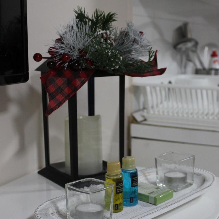 Ogi apartments Balkanska - Apartman sa 1 Spavaćom Sobom - 17