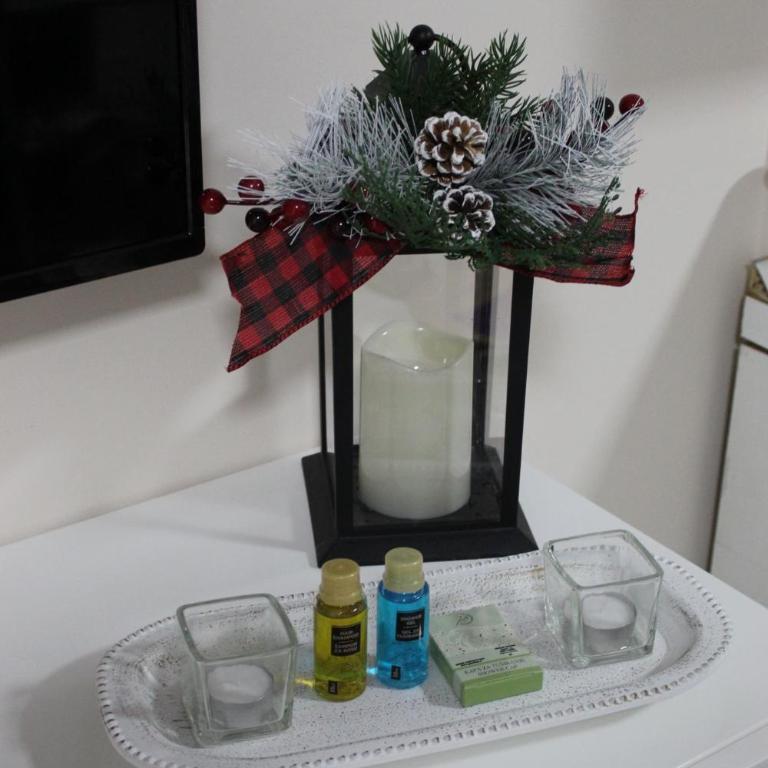 Ogi apartments Balkanska - Apartman sa 1 Spavaćom Sobom - 27