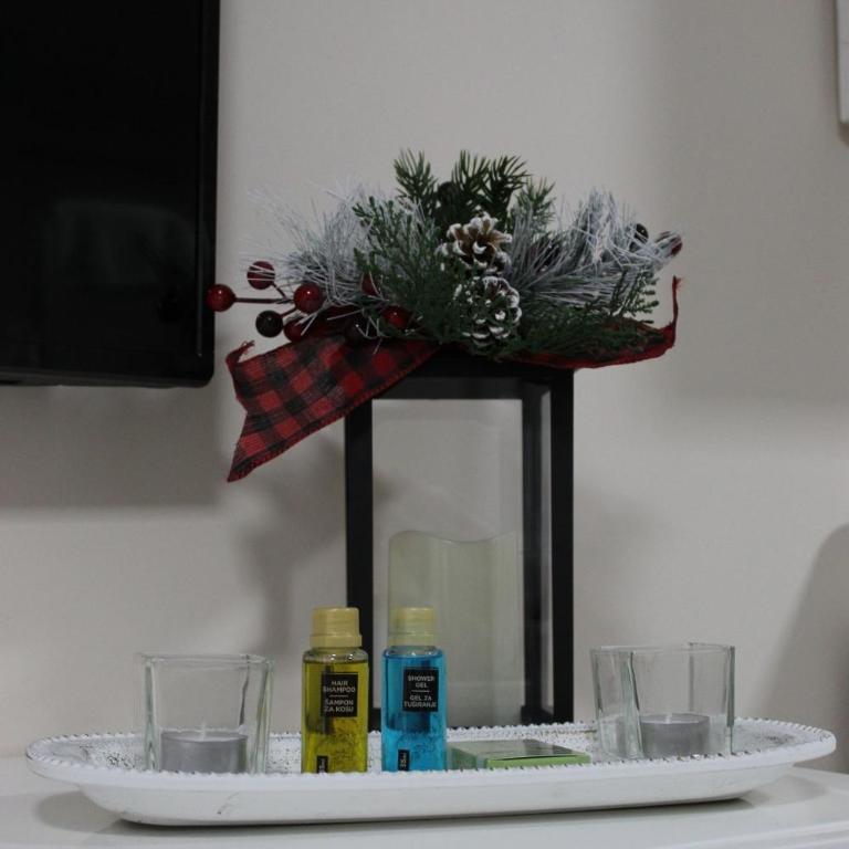 Ogi apartments Balkanska - Apartman sa 1 Spavaćom Sobom - 30