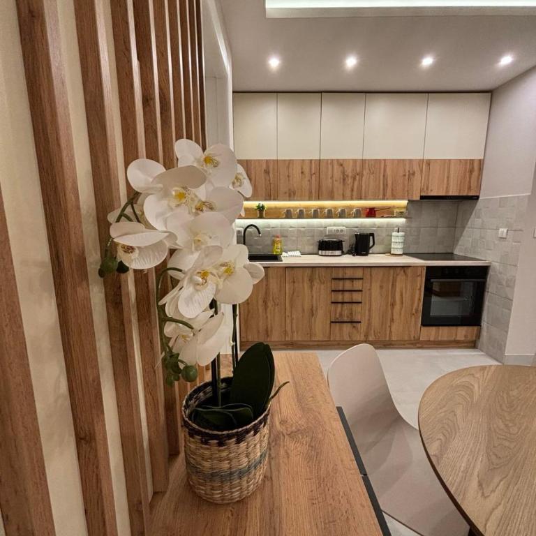 Šumska staza Divčibare apartmani - Apartman sa 1 Spavaćom Sobom - 3