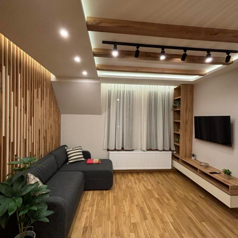 Šumska staza Divčibare apartmani - Apartman sa 1 Spavaćom Sobom - 6