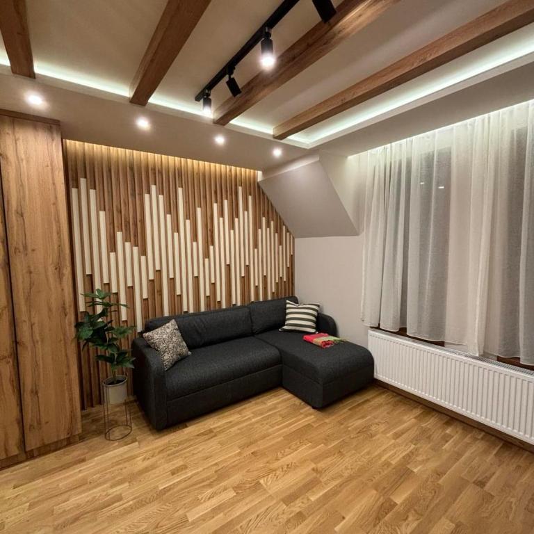 Šumska staza Divčibare apartmani - Apartman sa 1 Spavaćom Sobom - 7