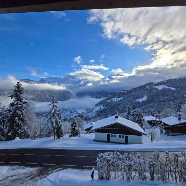 Au cœur des pistes - Appartamento con 1 Camera da Letto - 1