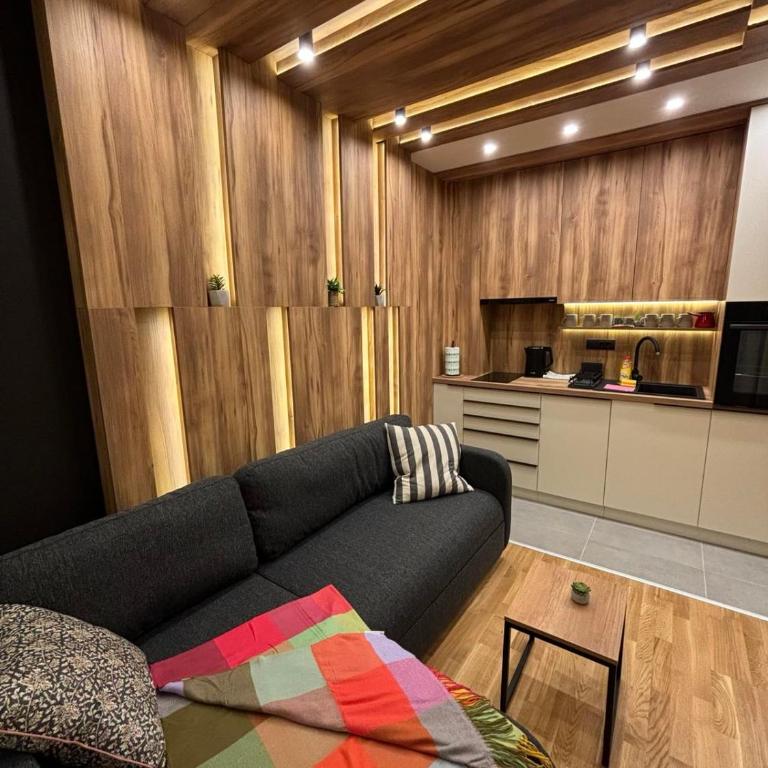 Šumska staza Divčibare apartmani - Apartman sa 1 Spavaćom Sobom - 2