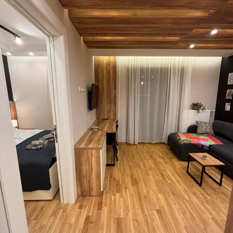 Šumska staza Divčibare apartmani - Apartman sa 1 Spavaćom Sobom - 6