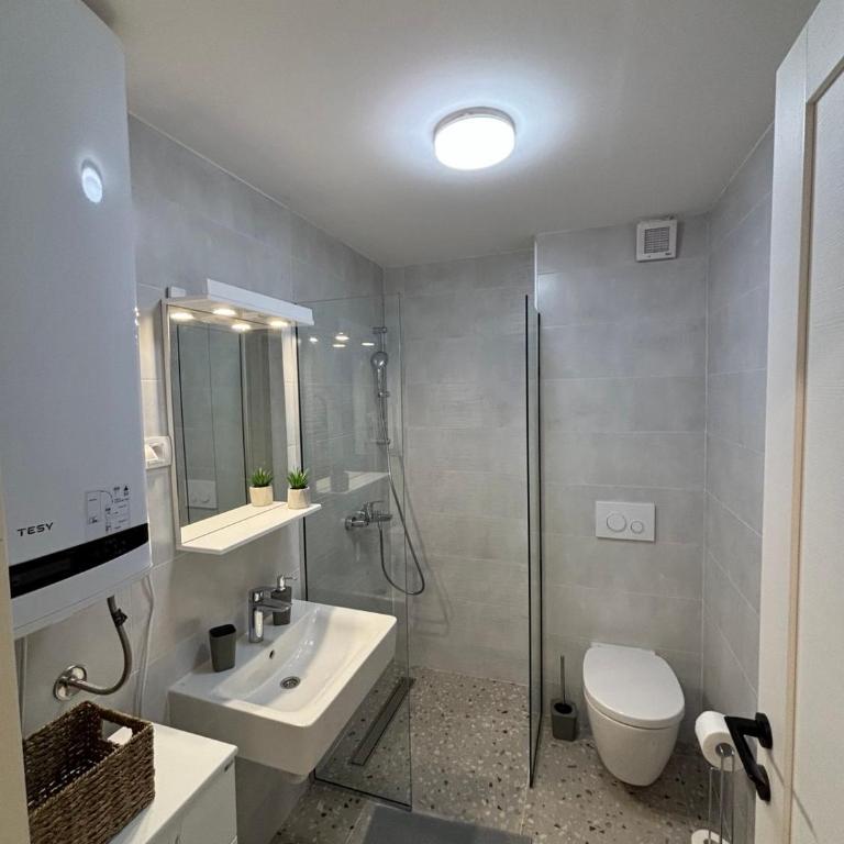 Šumska staza Divčibare apartmani - Apartman sa 1 Spavaćom Sobom - 7