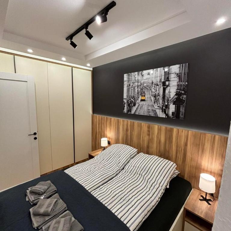 Šumska staza Divčibare apartmani - Apartman sa 1 Spavaćom Sobom - 8