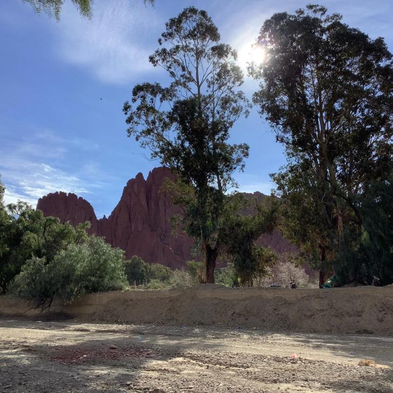 Rovira Viajes y Turismo - Apartamento de 2 dormitorios - 18