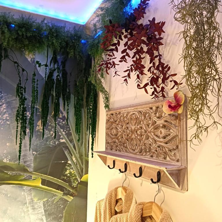 Jungle Spa - Cocon tropical et romantique avec balnéo en plein coeur de Pézenas ! - Appartement 1 Chambre - 10