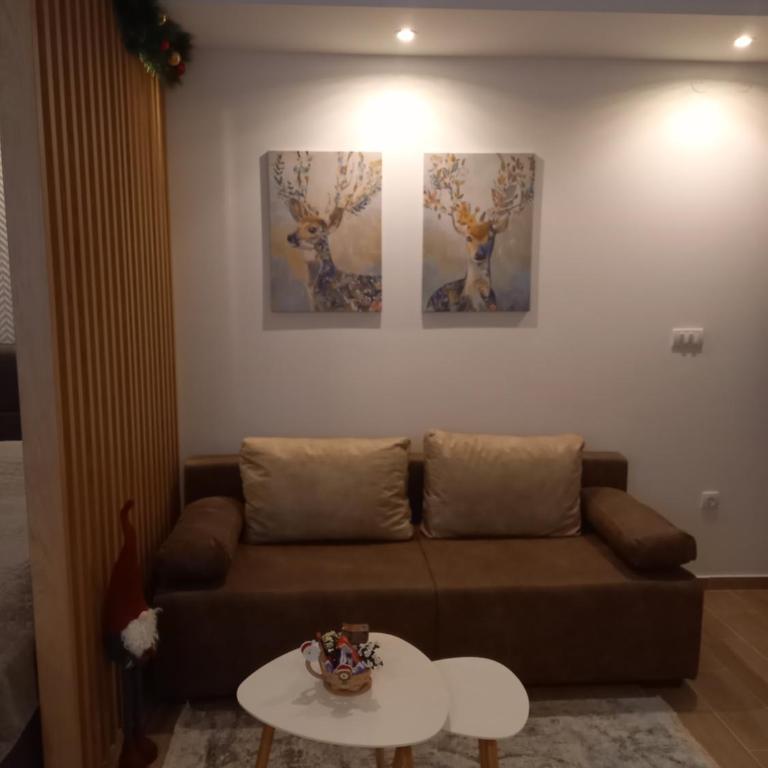 Apartman Čarolija, Sunčana planina - Studio - 13
