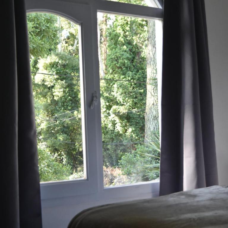 Cabañas Coliqueo - Apartamento Deluxe de 1 dormitorio con vistas al jardín - 13