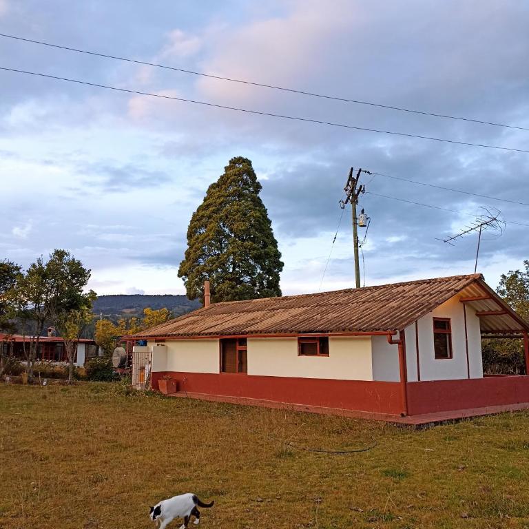 Alojamiento Los Alpes - Casa con 1 dormitorio - 7