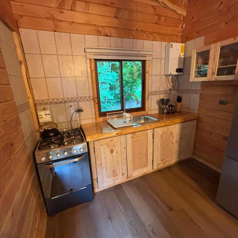 Borde Río - One-Bedroom Apartment - 11