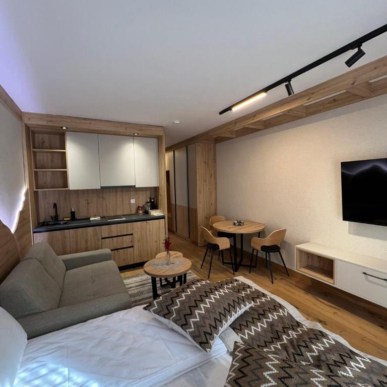 RIO D152 - ApartHotel Vucko - Private Host - Deluxe Studio - 1
