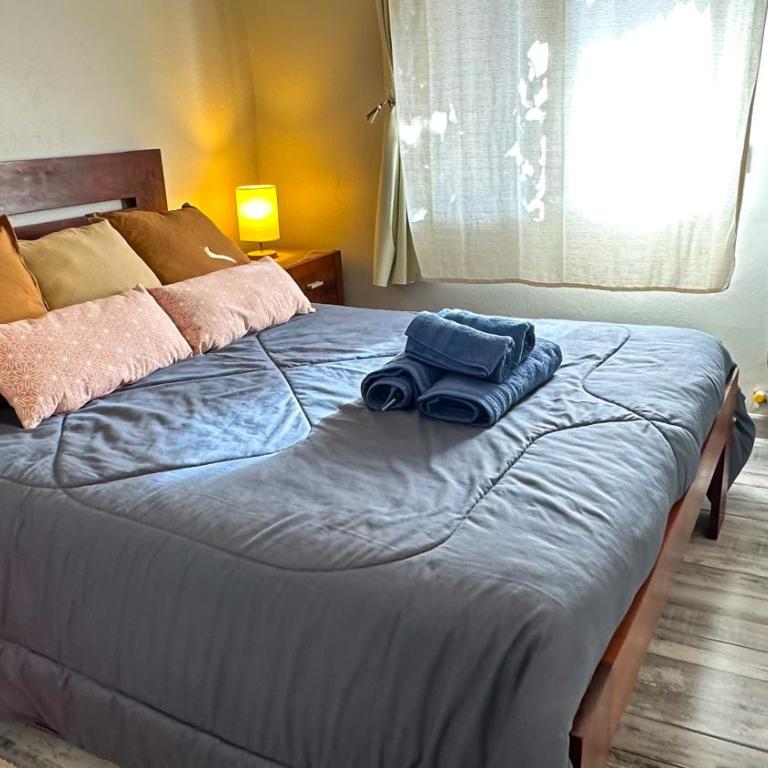 Depto Cálido y Funcional - Cercano Centro - Apartamento de 1 dormitorio - 5