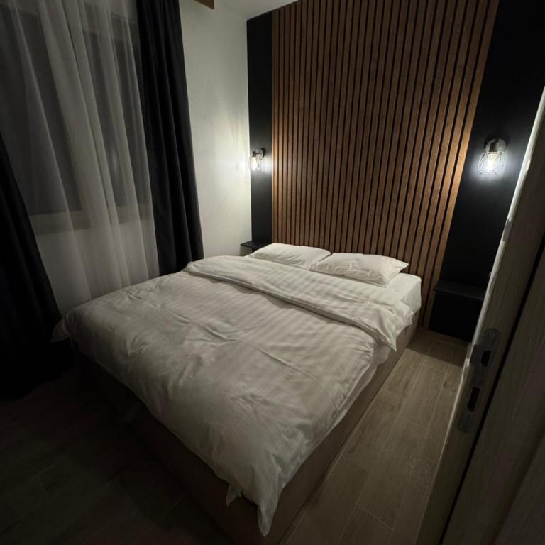 Friends Lux apartment Kopaonik - Apartman sa 1 Spavaćom Sobom - 7