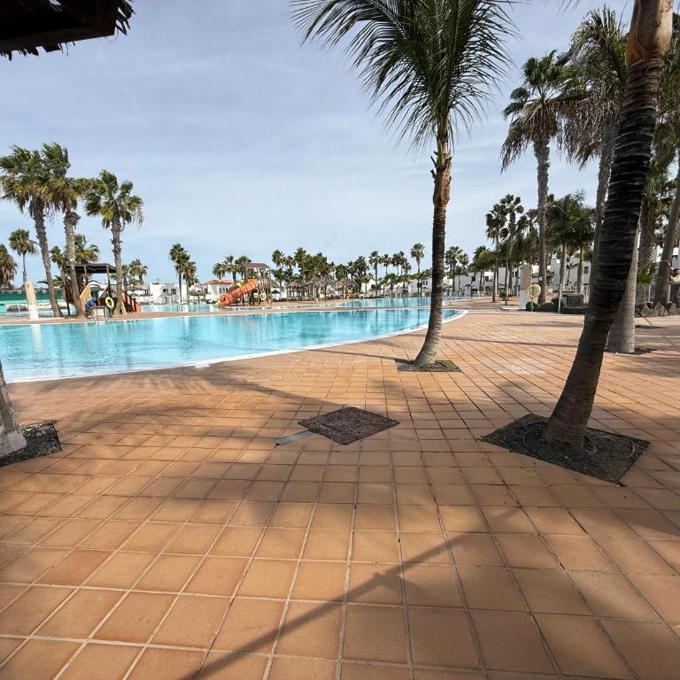 DUNAS I by Sea You There Fuerteventura - Apartamento de 1 dormitorio - 33