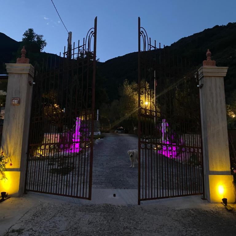 Villa Sotto Il Cielo Di Toscana - Villa - 15