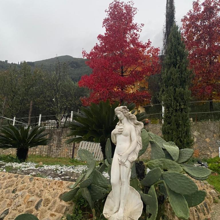 Villa Sotto Il Cielo Di Toscana - Villa - 17