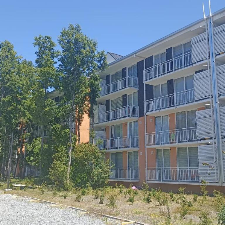 Departamento Condominio Parque Pucón - Three-Bedroom Apartment - 22
