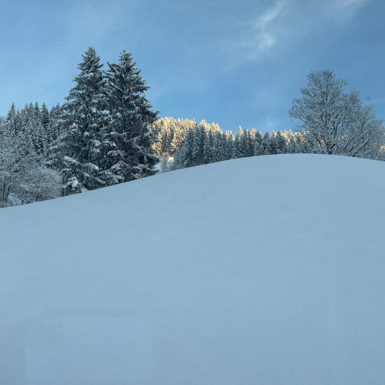 Grossbergblick - Apartamento de 2 dormitorios - 13