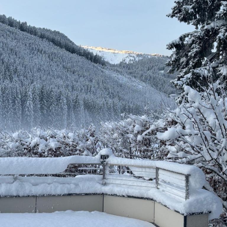Grossbergblick - Apartamento de 2 dormitorios - 19