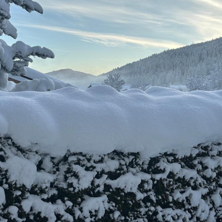 Grossbergblick - Apartamento de 2 dormitorios - 33