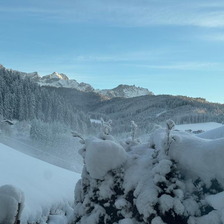 Grossbergblick - Apartamento de 2 dormitorios - 17