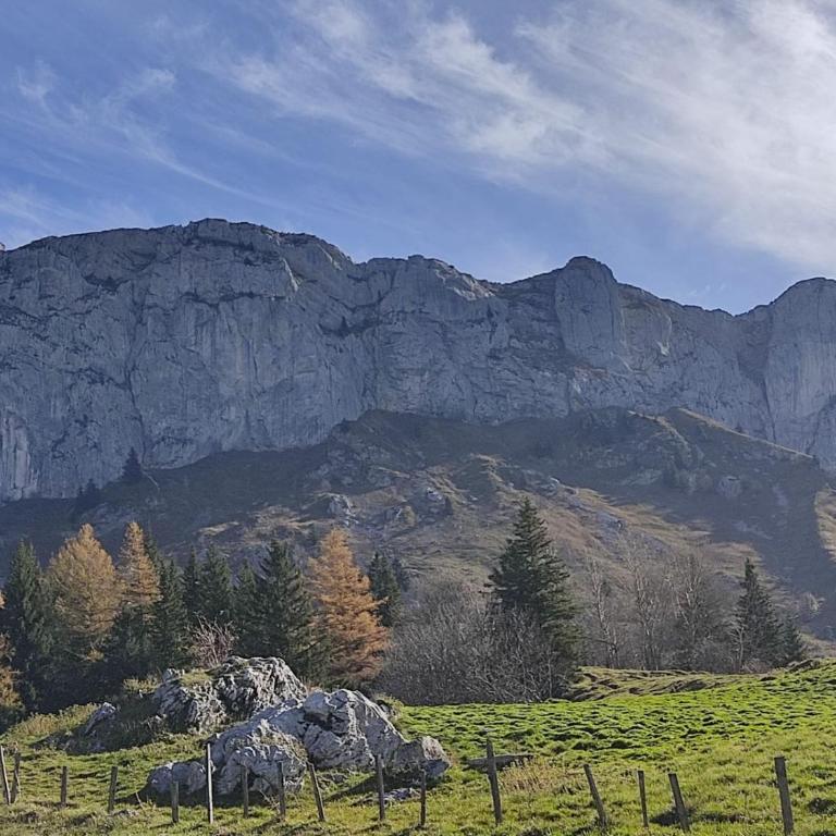 CRÊTES DU VERCORS VUE MAGNIFIQUE - Appartamento con 1 Camera da Letto - 26
