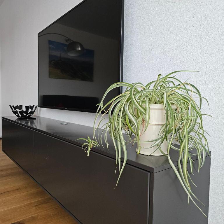 Wohlfühl-Alpenblick Apartments - Apartment mit 1 Schlafzimmer - 15