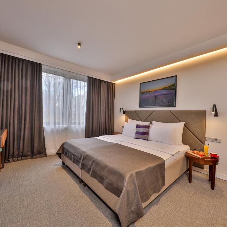 Hotel Botanica - Superior Dvokrevetna Soba s Bračnim Krevetom i Kadom - 3