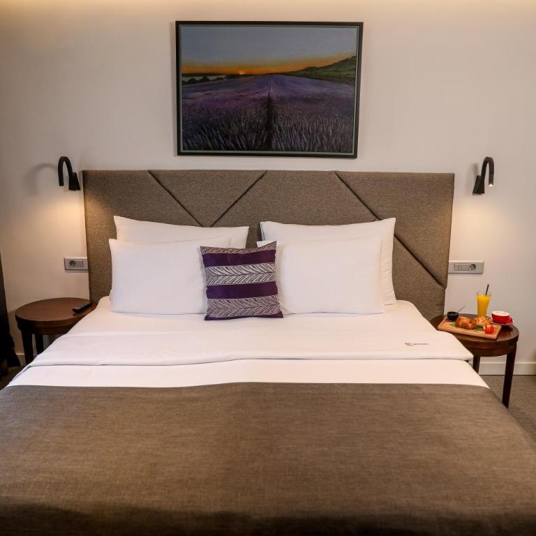 Hotel Botanica - Superior Dvokrevetna Soba s Bračnim Krevetom i Kadom - 5