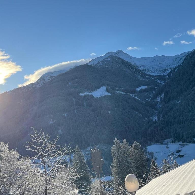 Apartment in Zillertal near Ski Slopes - Two-Bedroom Apartment - 16